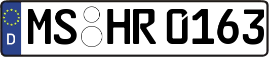 MS-HR0163