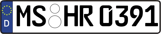 MS-HR0391
