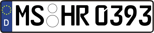 MS-HR0393