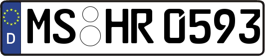 MS-HR0593