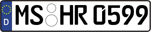 MS-HR0599