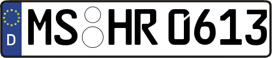 MS-HR0613
