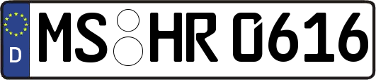 MS-HR0616