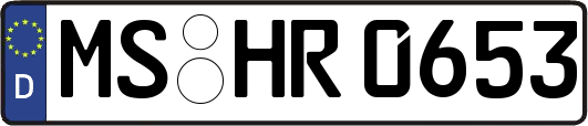 MS-HR0653