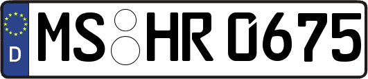 MS-HR0675