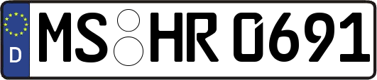 MS-HR0691