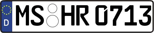 MS-HR0713
