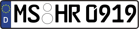 MS-HR0919