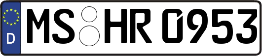 MS-HR0953