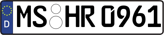 MS-HR0961