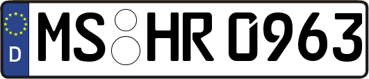 MS-HR0963