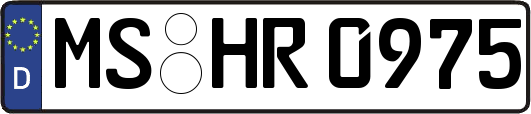 MS-HR0975