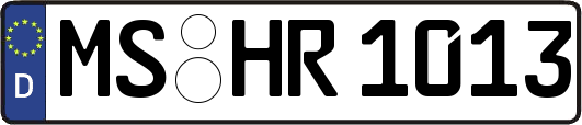 MS-HR1013