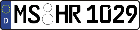 MS-HR1029