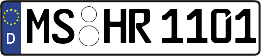 MS-HR1101