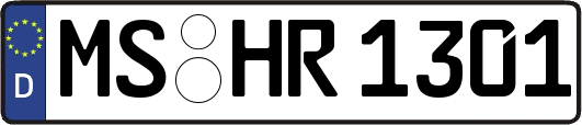 MS-HR1301