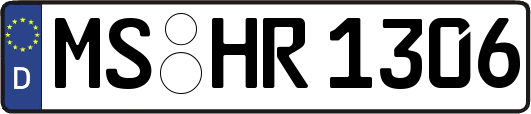 MS-HR1306