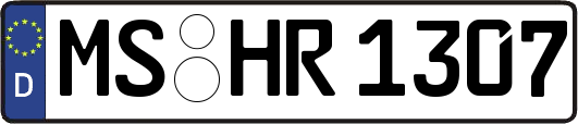 MS-HR1307