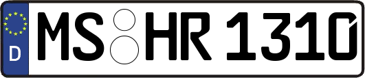 MS-HR1310