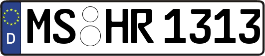 MS-HR1313