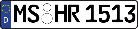 MS-HR1513