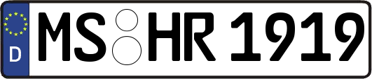 MS-HR1919