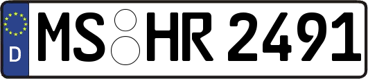 MS-HR2491