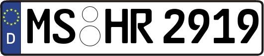 MS-HR2919