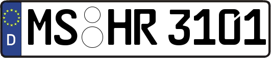 MS-HR3101