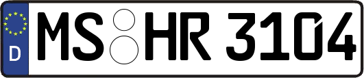MS-HR3104