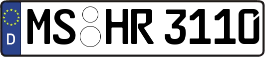 MS-HR3110