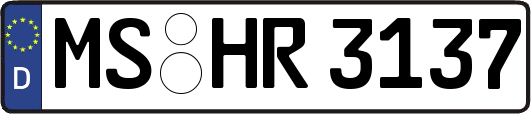 MS-HR3137