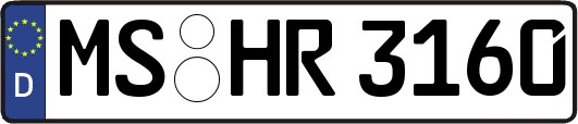 MS-HR3160
