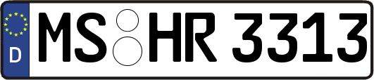 MS-HR3313