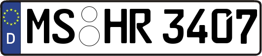 MS-HR3407