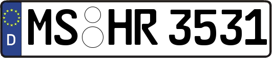 MS-HR3531