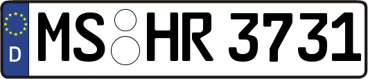 MS-HR3731