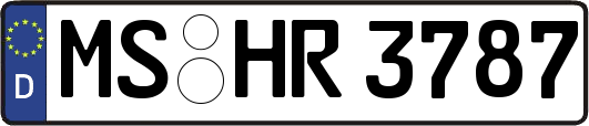 MS-HR3787