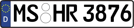 MS-HR3876