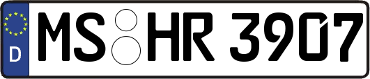 MS-HR3907