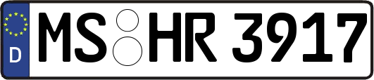 MS-HR3917