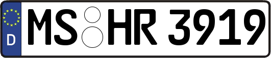 MS-HR3919