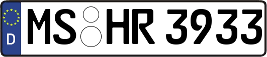 MS-HR3933
