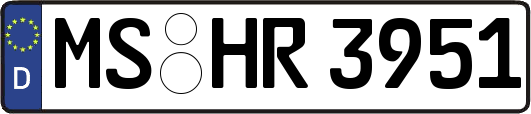MS-HR3951