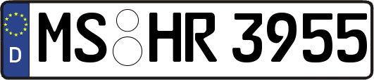 MS-HR3955