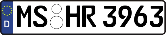 MS-HR3963