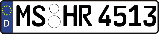 MS-HR4513