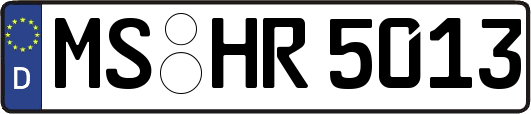 MS-HR5013