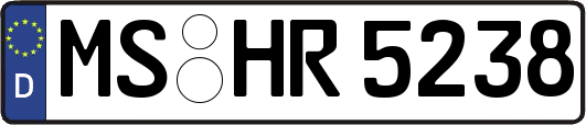 MS-HR5238
