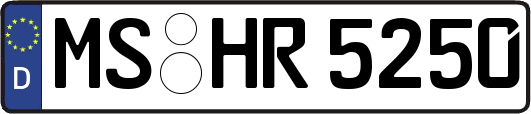 MS-HR5250